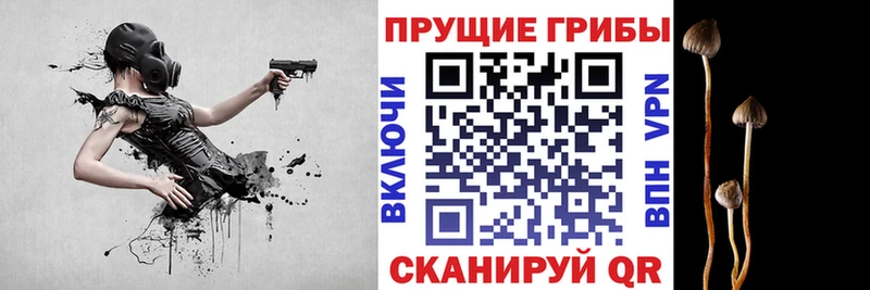 Псилоцибиновые грибы мухоморы Липецк